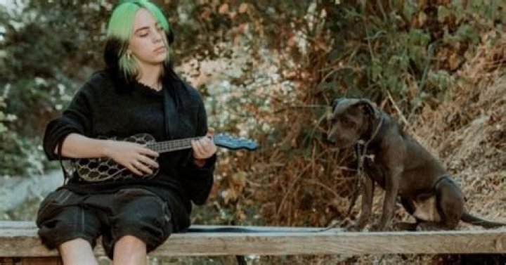 Can Billie Eilish sing, dance, drive, play guitar and instruments