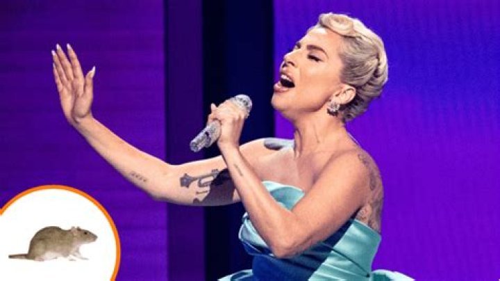 8 rat musicals Lady Gaga was born to write