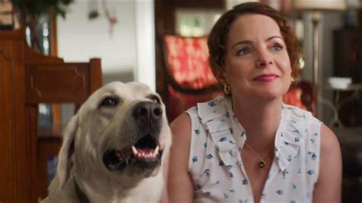 A heartwarming true story about a dog finds home on the Netflix Top 10