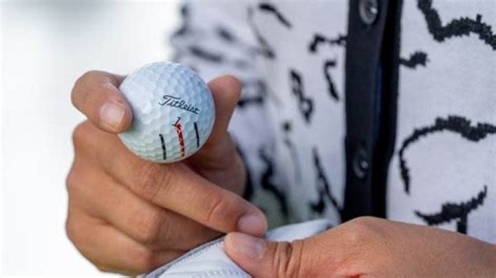 A Lim Kim salary, career earnings, net worth