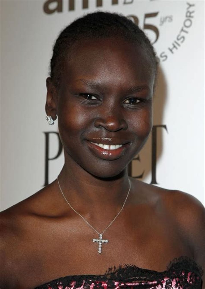 Alek Wek Biography - Childhood, Life Achievements & Timeline