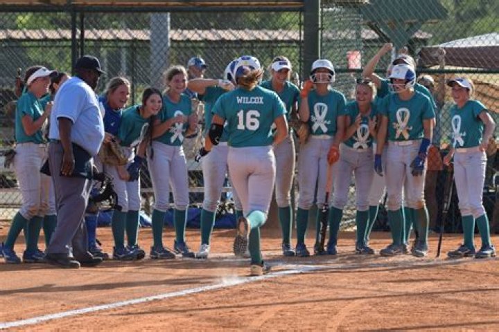Alex Wilcox Cancer Death And Obituary, Why Are Softball Teams Wearing Teal Green?