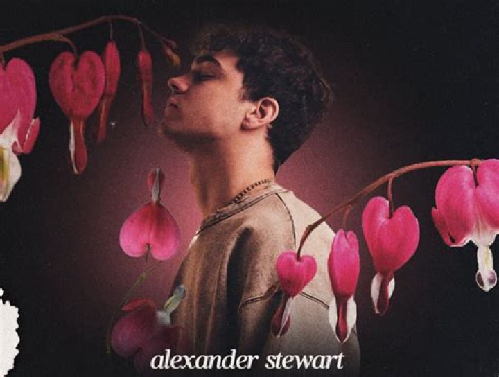 Alexander Stewart - Bio, Facts, Family Life of Canadian YouTube Singer