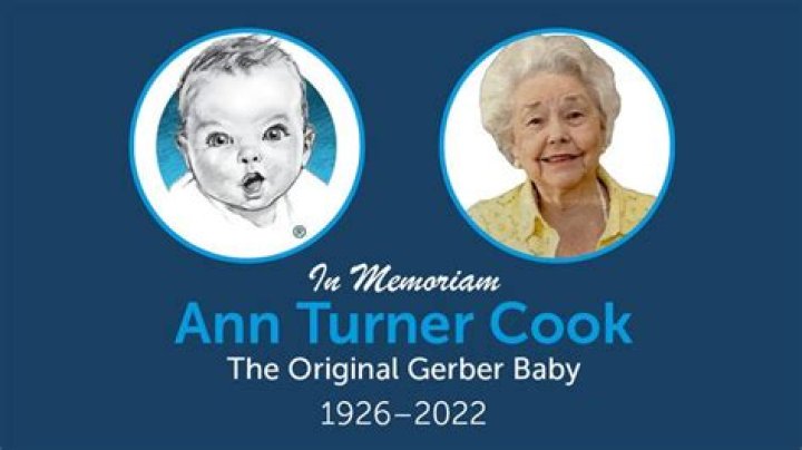 
Ann Turner Cook Height, Weight, Net Worth, Age, Birthday, Wikipedia, Who, Nationality, Biography 