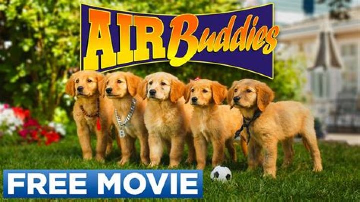 Are the dogs in Air Buddies real? – Celebrity