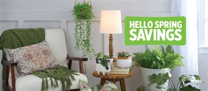 Are trouble and Sorry the same game? – Celebrity