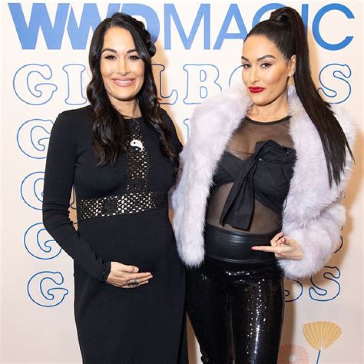 Artem Chigvintsev And Nikki Bella And Daniel Bryan And Brie Bella Talk About Baby Gender As Twins Show Off Baby Bumps