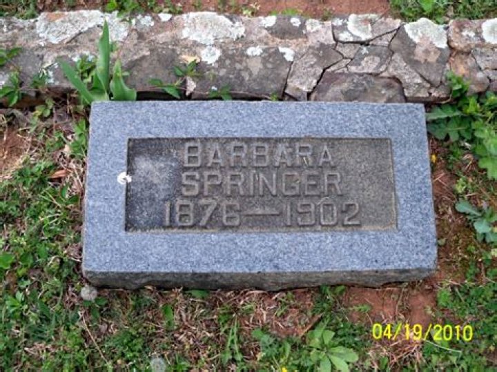 Barbara (Beechy) Springer – Goshen, IN