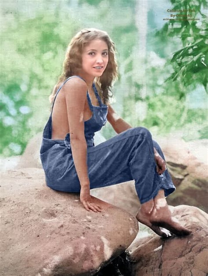 Bessie Love Biography - Childhood, Life Achievements & Timeline