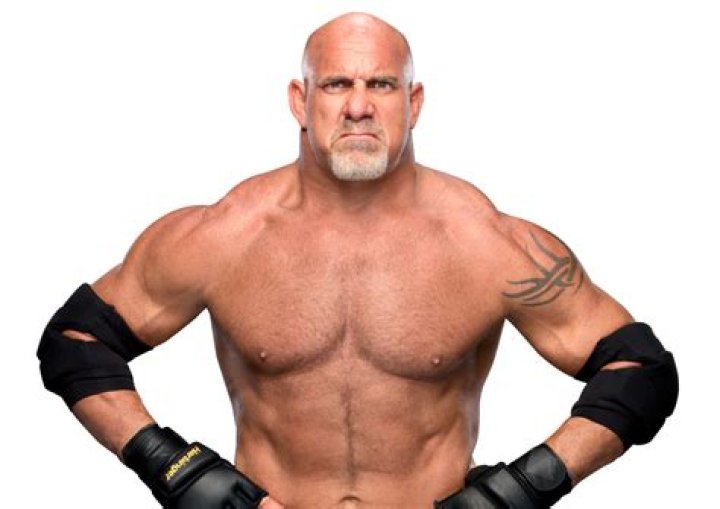 Bill Goldberg Biography - Facts, Childhood, Family Life & Achievements
