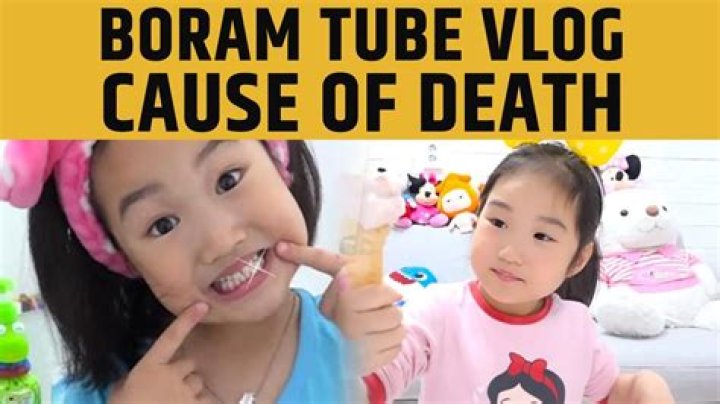 Boram Tube Vlog Child Abuse News As Youtuber Passed Away, Here Is What Happened To Him?