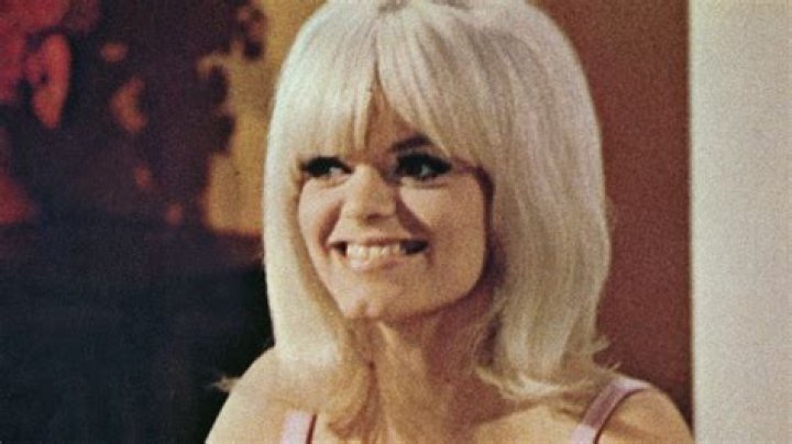Carol Wayne Biography - Facts, Childhood, Family Life & Achievements
