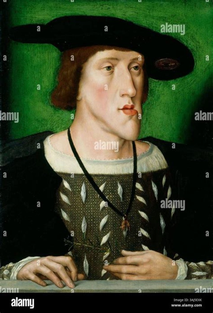 Charles V, Holy Roman Emperor Biography