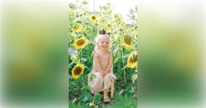 Chloe Lane Deese Death, Obituary, NC Toddler Killed In Accident