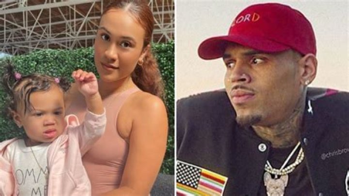 Chris Brown’s Girlfriend And Baby Mama, Ammika Harris, Goes After Fan Who Slammed Her Looks After Posting This Sultry Picture