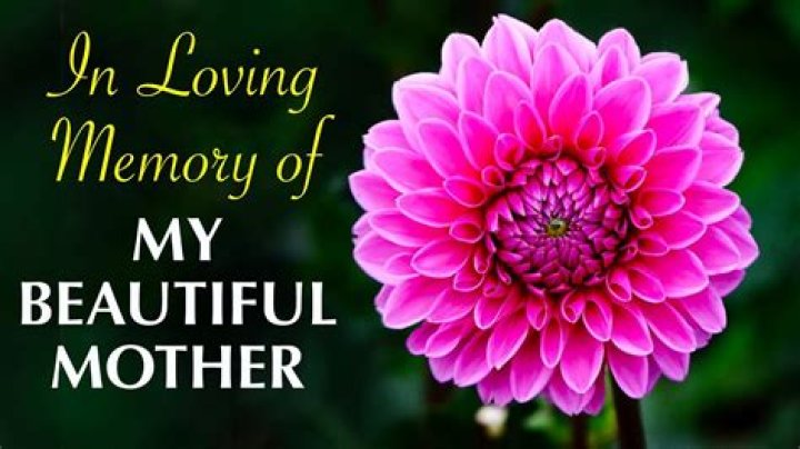 Cynthia Bailey Shares A Message In The Memory Of Late Kim Porter