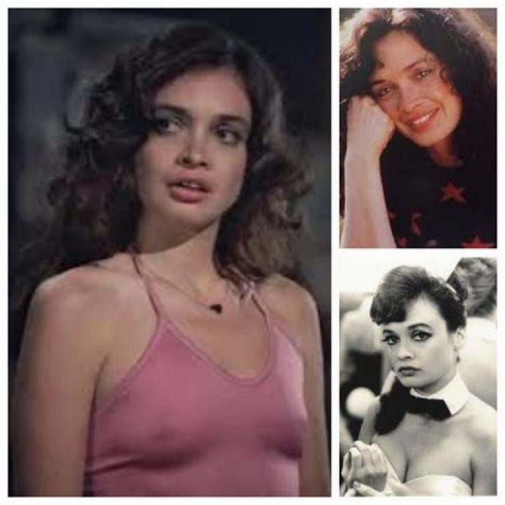 Deborah Van Valkenburgh Biography - Facts, Childhood, Family Life & Achievements