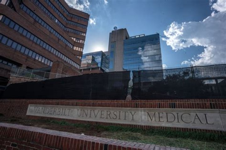 Explore Thanvi Dola Death, Research Intern, Student at Vanderbilt University Medical Center