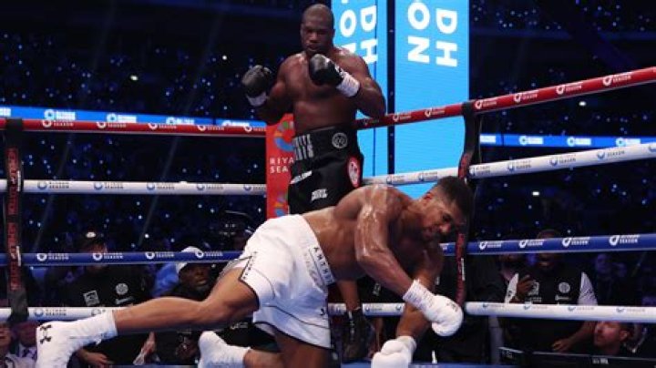 
Felix Trinidad Was Knocked Down How Many Times? 