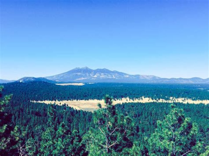 Directory of Physicians (MD/DO) in Flagstaff, Arizona