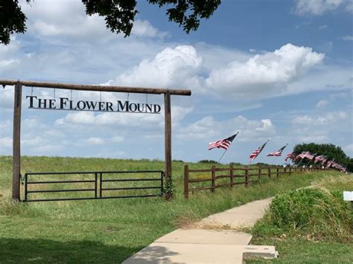 Directory of U.S. Nurse Practitioners (NP) in Flower Mound, Texas