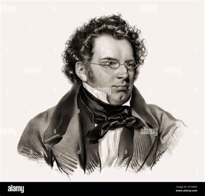 Franz Peter Schubert Biography - Facts, Childhood, Family Life & Achievements