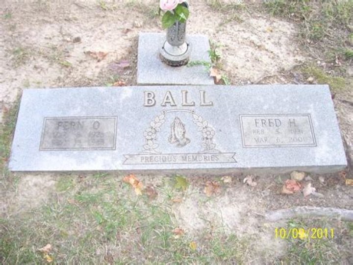 Fred Ball Biography - Facts, Childhood, Family Life & Achievements