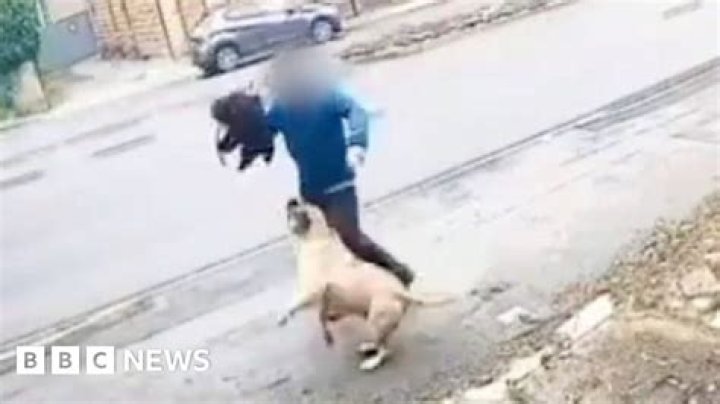 
Georgia Boy, 11, Recovering After Being Attacked by 3 Pit Bulls: ‘He Didn’t Ask for This’ 