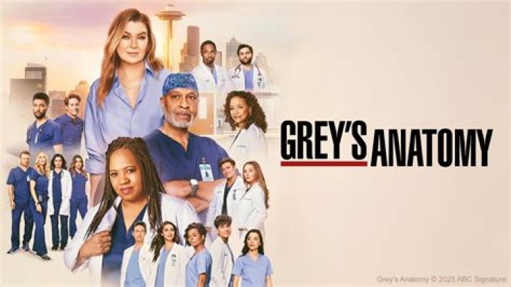 
Grey’s Anatomy Season 19 Episode 5 Release Date: Addison And Bailey Will Face Pregnancy Complication 