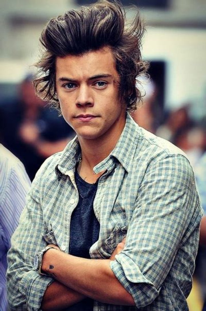 Harry Styles Favorite Perfume Song Drink Football Team Biography