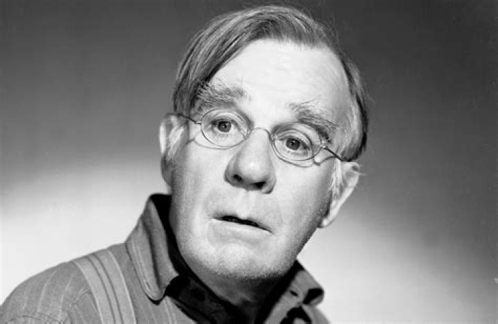 Henry Travers Biography - Facts, Childhood, Family Life & Achievements