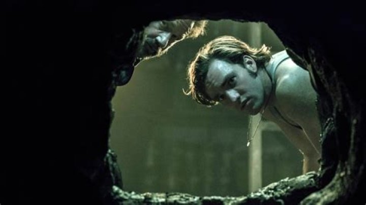 ‘He’s vocal when he doesn’t like things’: The director of a Stephen King dud with 20% on Rotten Tomatoes makes do with his endorsement