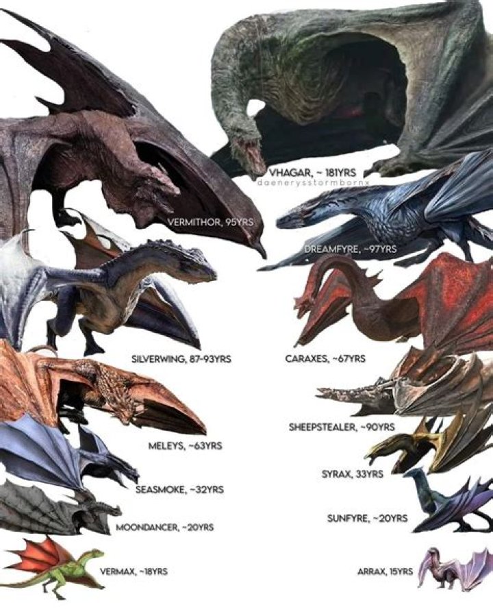 ‘House of the Dragon’ director breaks down the 3 different types of dragon