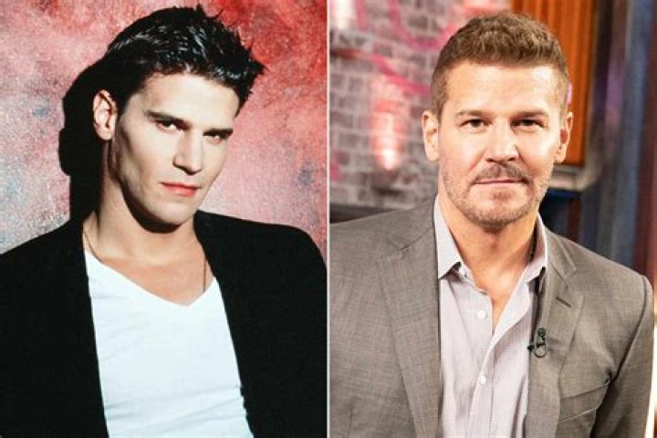 How much did Buffy pay David Boreanaz? – Celebrity