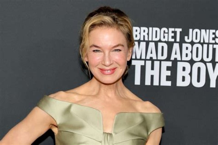 
How Much Money Does Renee Zellweger Make? Latest Income Salary
