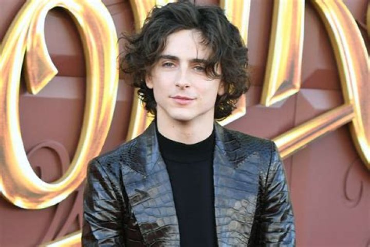 
How Much Money Does Timothée Chalamet Make? Latest Income Salary
