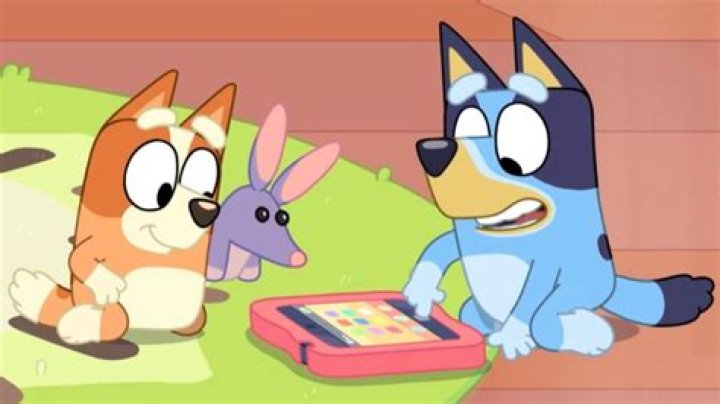 How old are Bluey and Bingo?