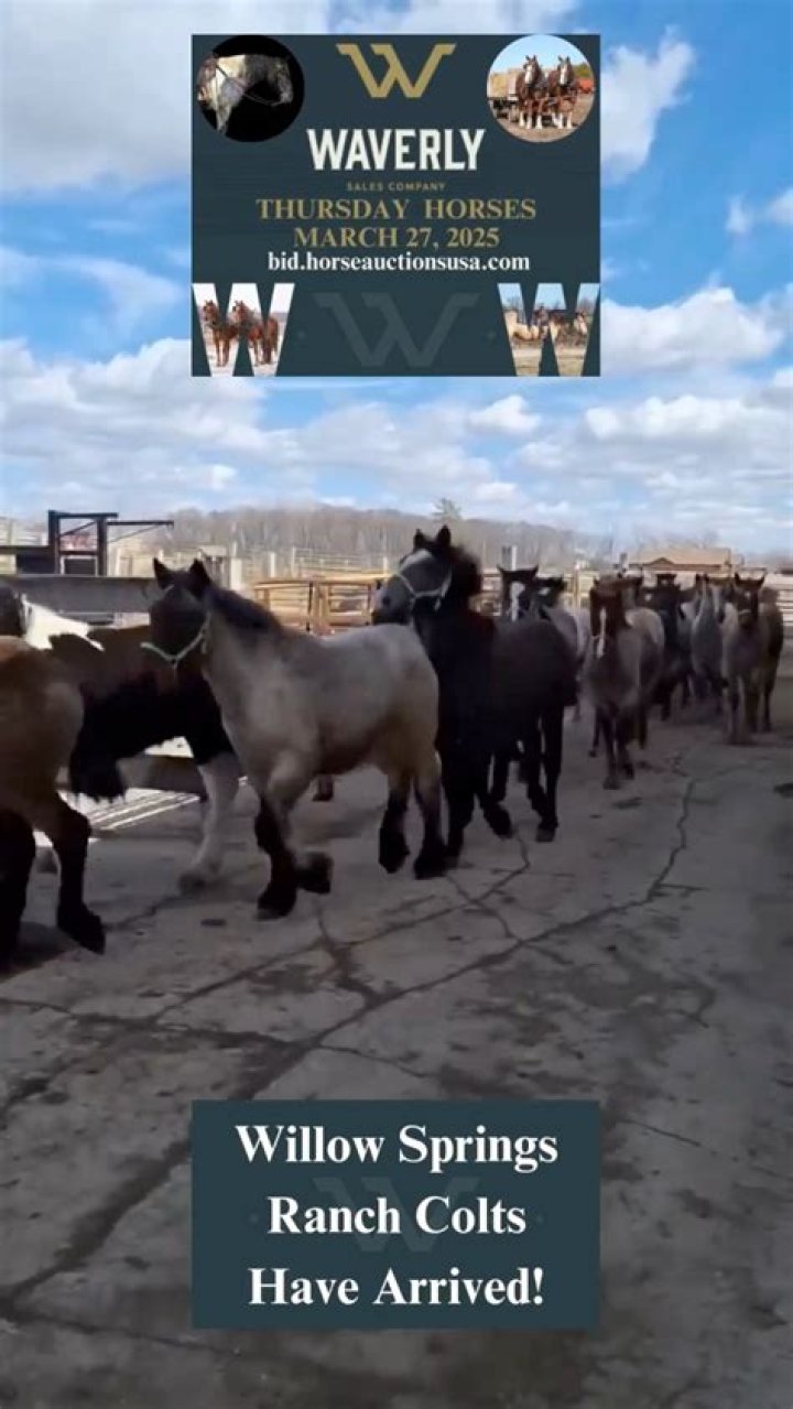 How old is rated R? – Celebrity