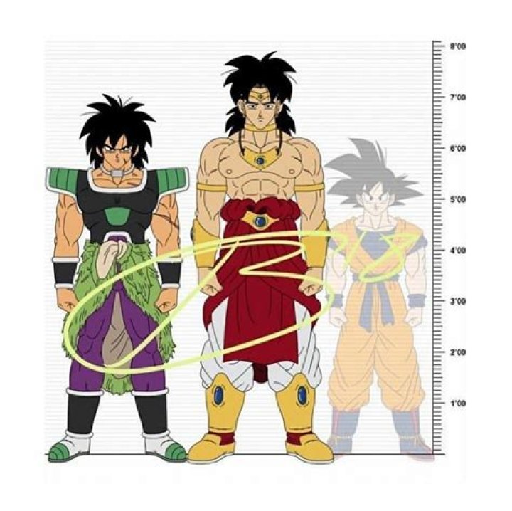 How Tall Is Broly In Dragon Ball?