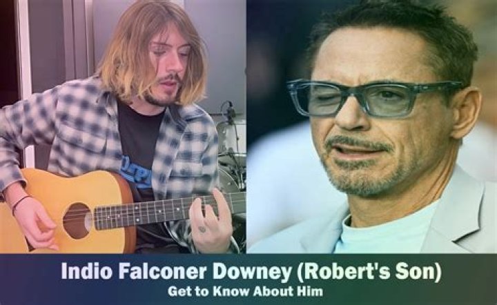 
Indio Falconer Downey Height, Weight, Net Worth, Age, Birthday, Wikipedia, Who, Instagram, Biography 