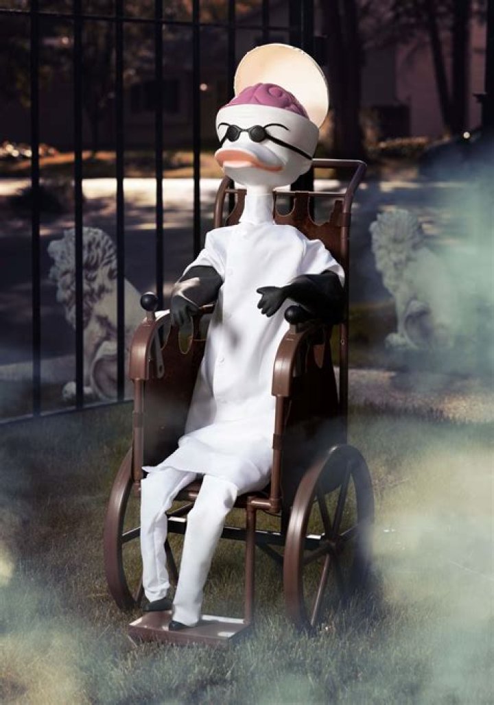 Is Dr. Finkelstein a duck? – Celebrity