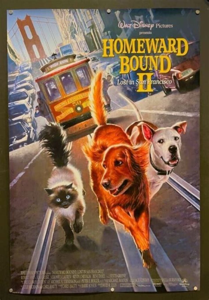 Is Homeward Bound based on a true story? – Celebrity