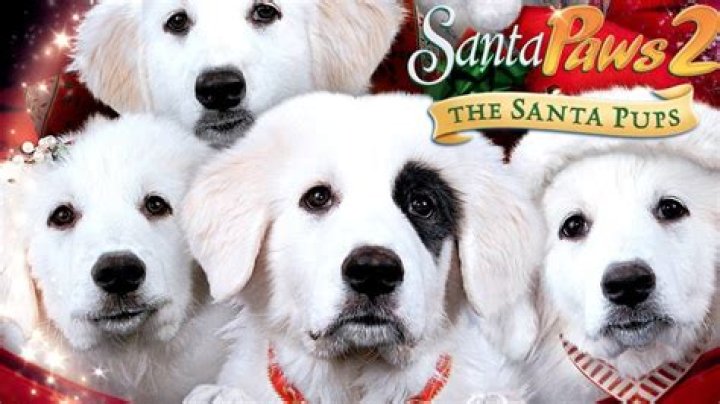 Is Quinn in Santa Paws 2? – Celebrity