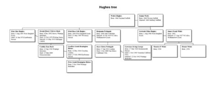 
Is TJ Hughes Related To Luke Hughes? Family Tree And Net Worth 