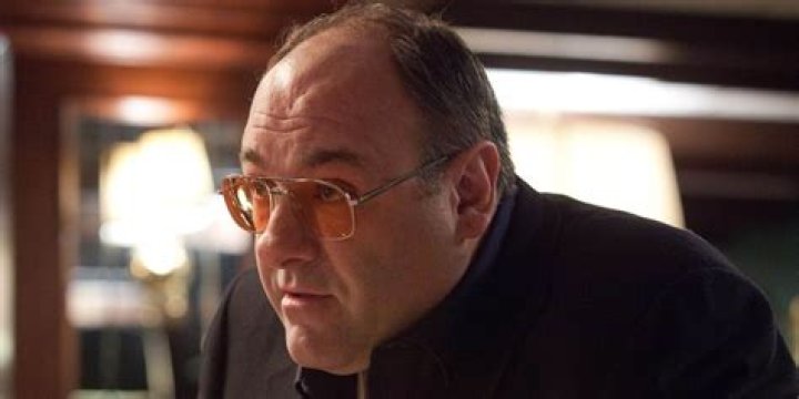 James Gandolfini Filmed Secret Role For Zero Dark Thirty