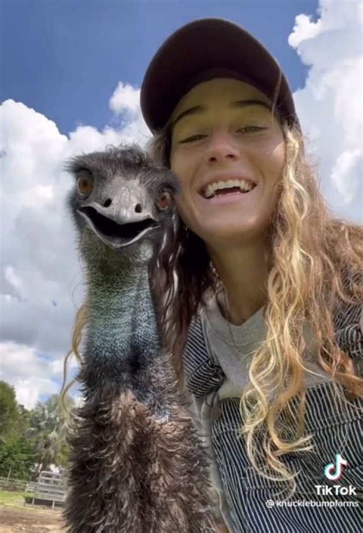 Knuckle Bump Farms Viral Video On Tiktok, What Is Emmanuel The Emu Sensation All About?