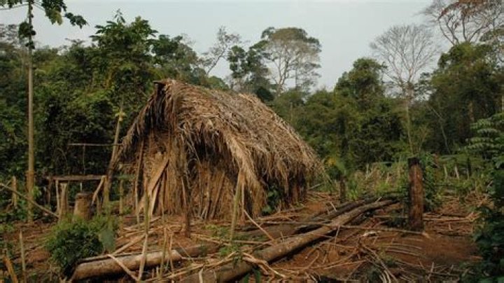 Last member of indigenous tribe in Brazil dies