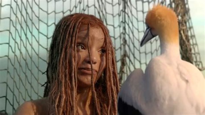 Latest Disney News: ‘The Little Mermaid’ scores a worse Rotten Tomatoes rating than 7 other live-action remakes as ‘Willow’ diehards demand justice for Disney Plus purge