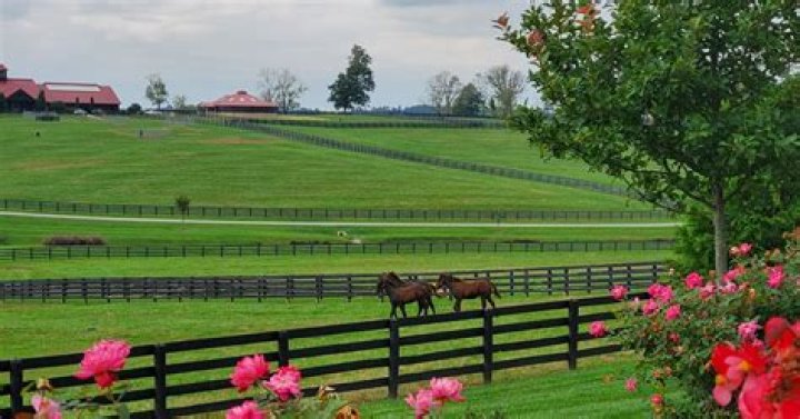 Directory of U.S. Pharmacists (Pharm) in Lexington, South Carolina