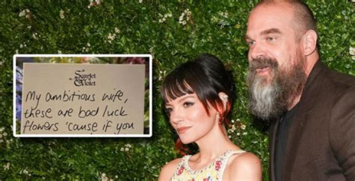 Lily Allen And David Harbour Spark Engagement Rumors With New Instagram Post